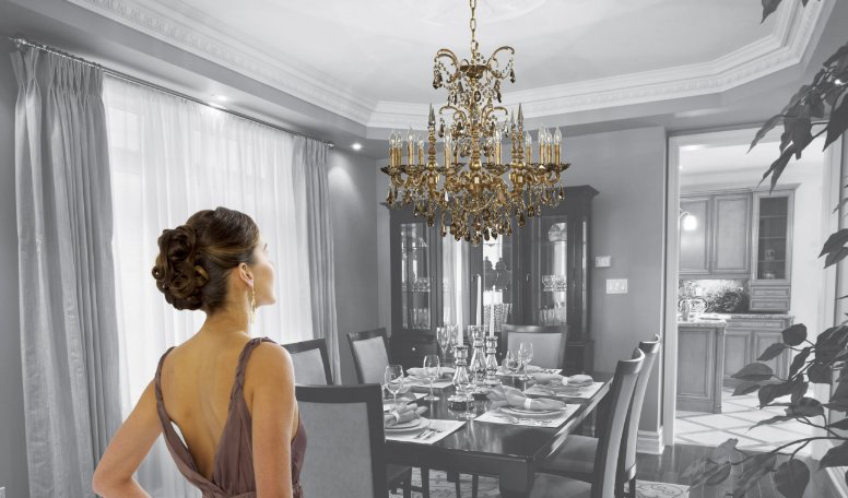 Dining room (24